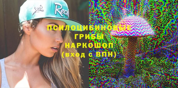 ГАЛЛЮЦИНОГЕННЫЕ ГРИБЫ Алексеевка