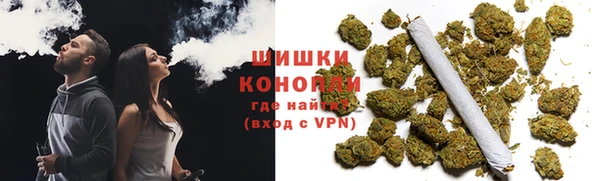 ГАЛЛЮЦИНОГЕННЫЕ ГРИБЫ Алексеевка