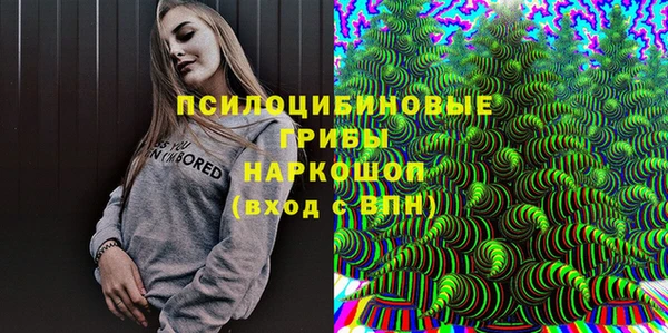 дживик Алзамай