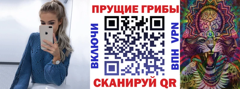 mega зеркало  Пикалёво  Псилоцибиновые грибы Psilocybine cubensis  купить наркоту 